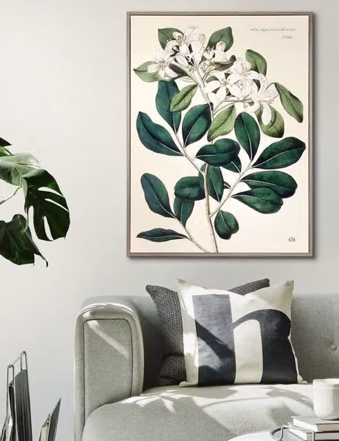 Gallery Direct Foliage and Blooms Botanical Framed Wall Art in Multicolour