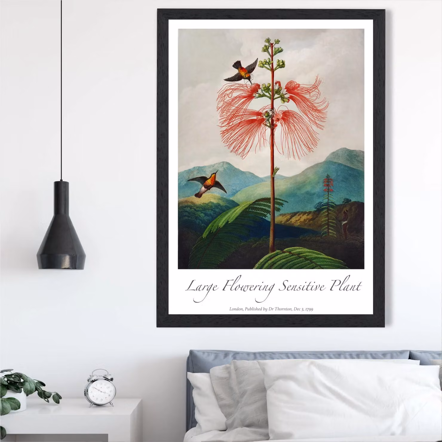 ARTZE Vintage Floral Exhibition Botanical Illustration Framed Print, Red and Multicolour, A4 – 2