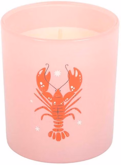 Something Different Coconut & Sea Salt Lobster Scented Candle in Pink