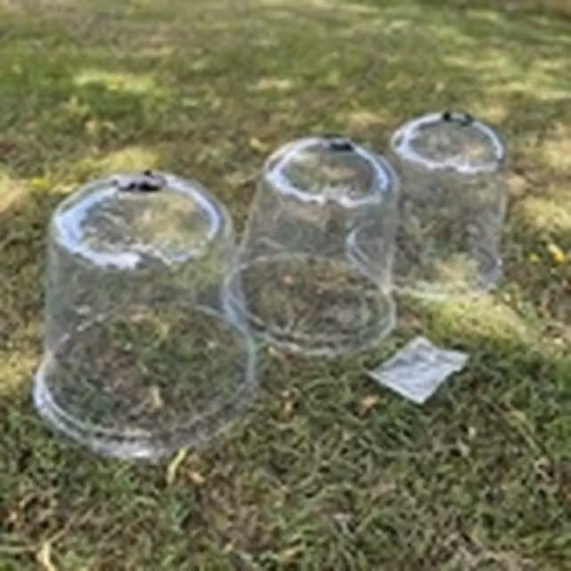 EONLION 3-Piece Large Plastic Plant Bell Cloche Covers in Transparent with Ground Pegs