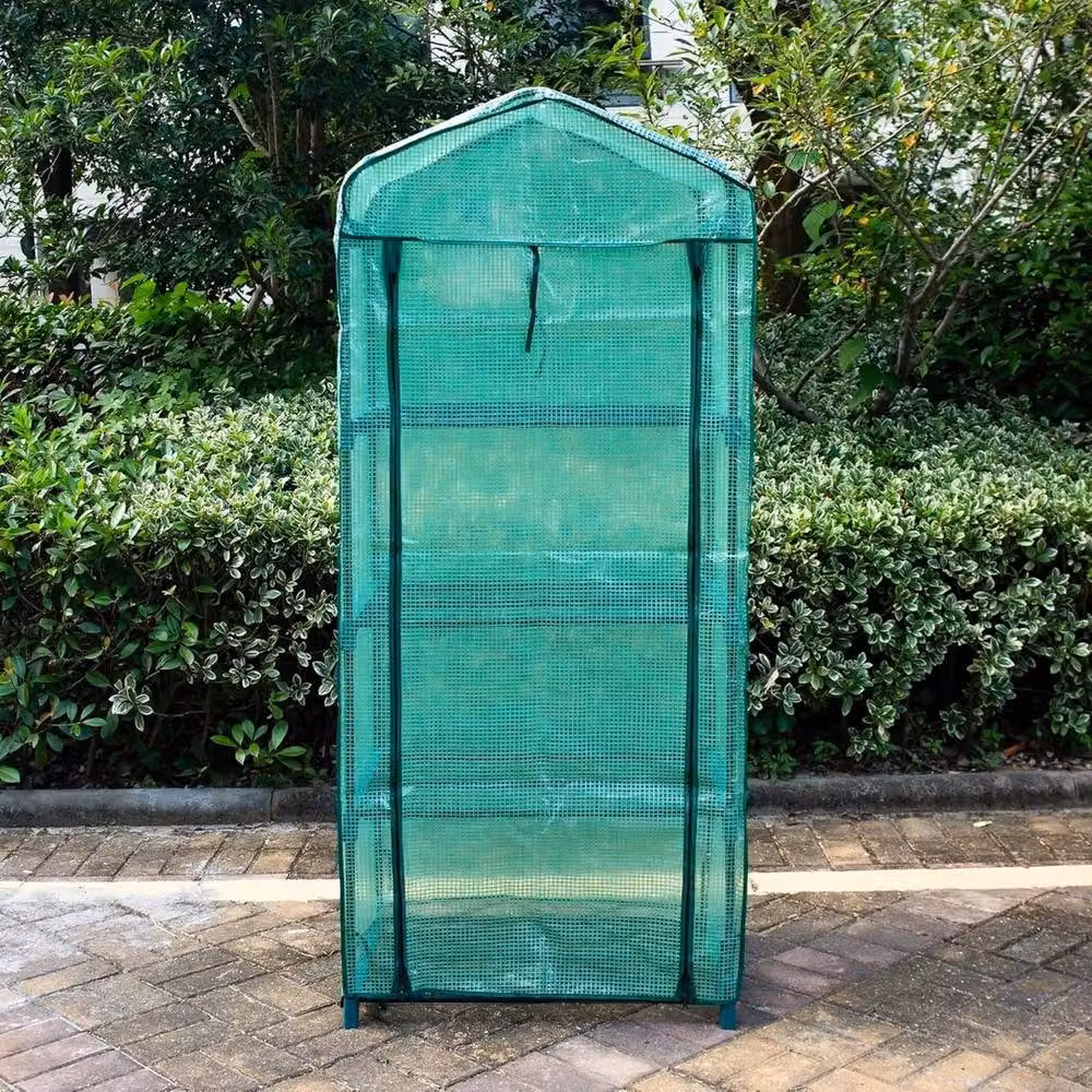 NESTLUNE 4 Tier Mini Greenhouse Small Plant Grow House, Green, W: 100 cm, D: 15 cm, H: 15 cm – 2