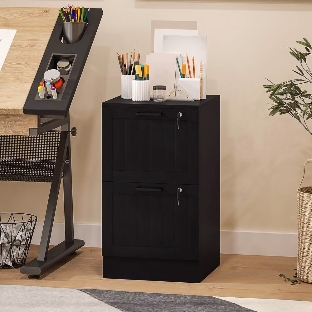 ERGOVEXA Lockable 2 Drawer Metal Filing Cabinet in Black – 4