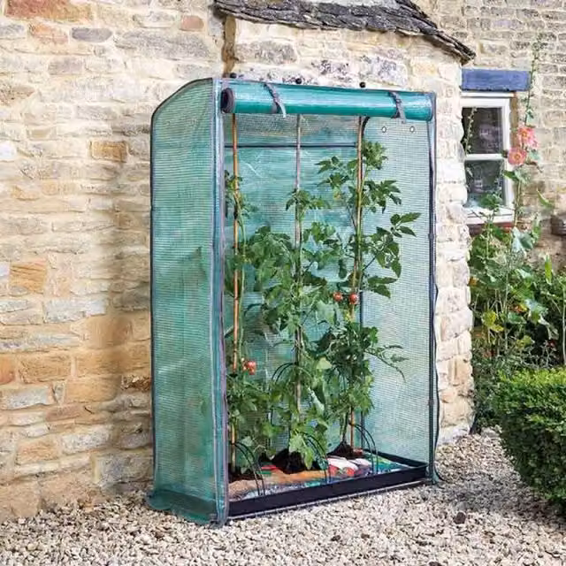 Garden Mile Green Curved Steel and Polyester Garden Tomato Greenhouse