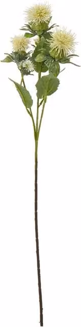 Hill Interiors Anemone Artificial Flower Spray in Beige and White – 1