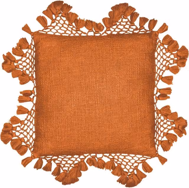 Anko Boho Cotton Macrame Tassel Trimmed Square Cushion in Orange, W/D/H: 45 x 45 x 45 cm