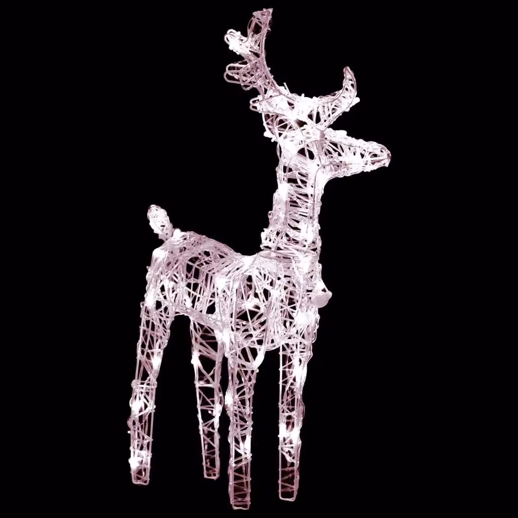 Berkfield Home Christmas Reindeers Set of 2, Warm White 80 LEDs, Acrylic Tabletop Decoration – 4