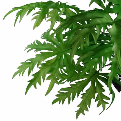 Green Organic Leaf Design Artificial Floral Plastic Flowers – 3