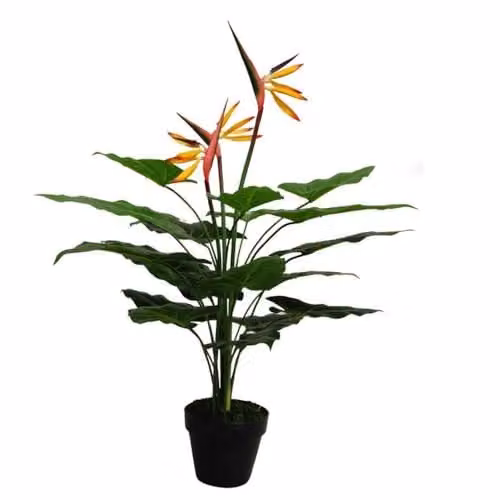 Leaf Design UK Artificial Bird of Paradise Strelitzia Plant in Green and Orange, Height: 70 cm – 1