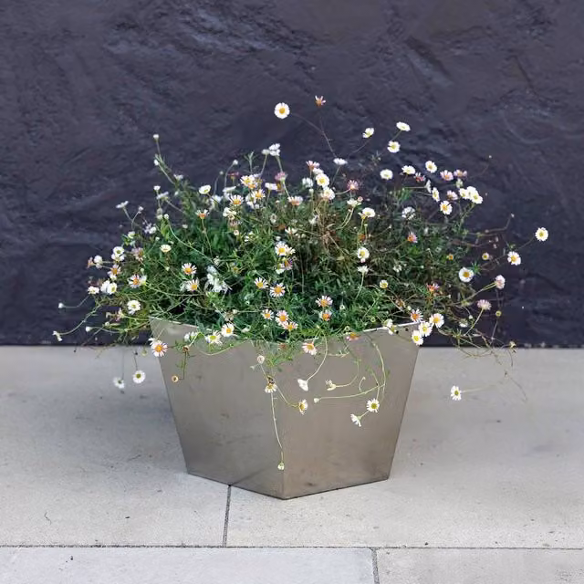 Primrose Silver Stainless Steel Hexagon Metal Outdoor Garden Planter Pot