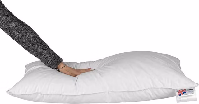 Homescapes Duck Feather Euro Pillow Pair, White, W: 40 cm, D: 80 cm