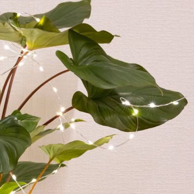 Lumineo 60 LED Micro Solar Plant Lights with Warm White LEDs and Silver Metal Wire Stake