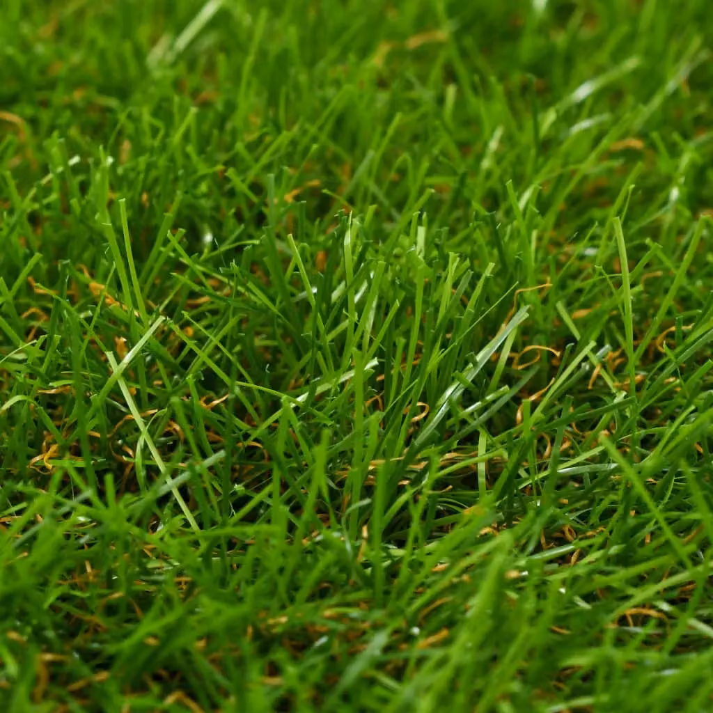 Berkfield Home Artificial Grass, Green, 1 x 8 m, 30 mm Pile Height – 2