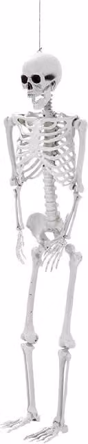 Garden Sanctuary White Poseable Human Skeleton Halloween Party Decoration