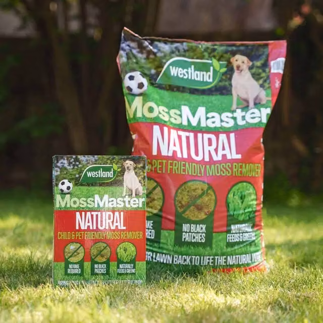 Westland Moss Master Slow Release Lawn Treatment, Brown