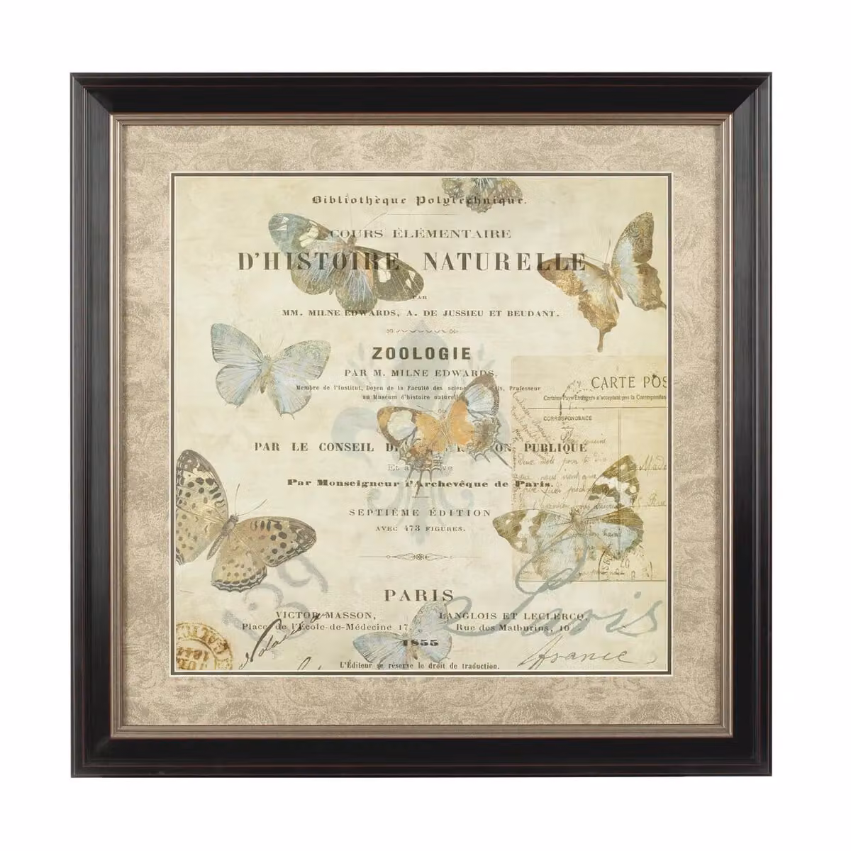 Orsina Framed Butterfly 2 Wall Art in Brown and Blue Antique Style – 3