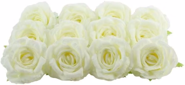 KDMD Artificial Arundel Rose Heads in Ivory, 12 Pack