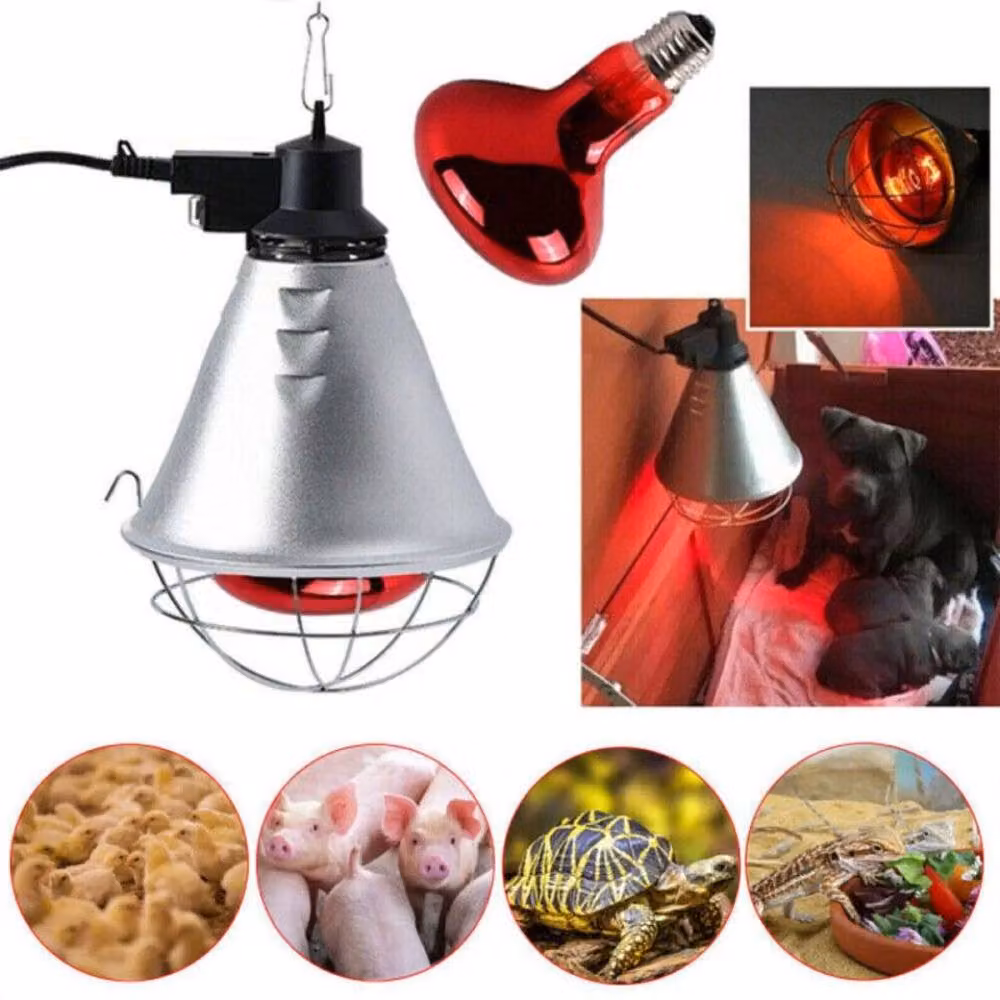 NESTLUNE Ruby 250w Infrared Heat Lamp and Bulb in Silver – 2