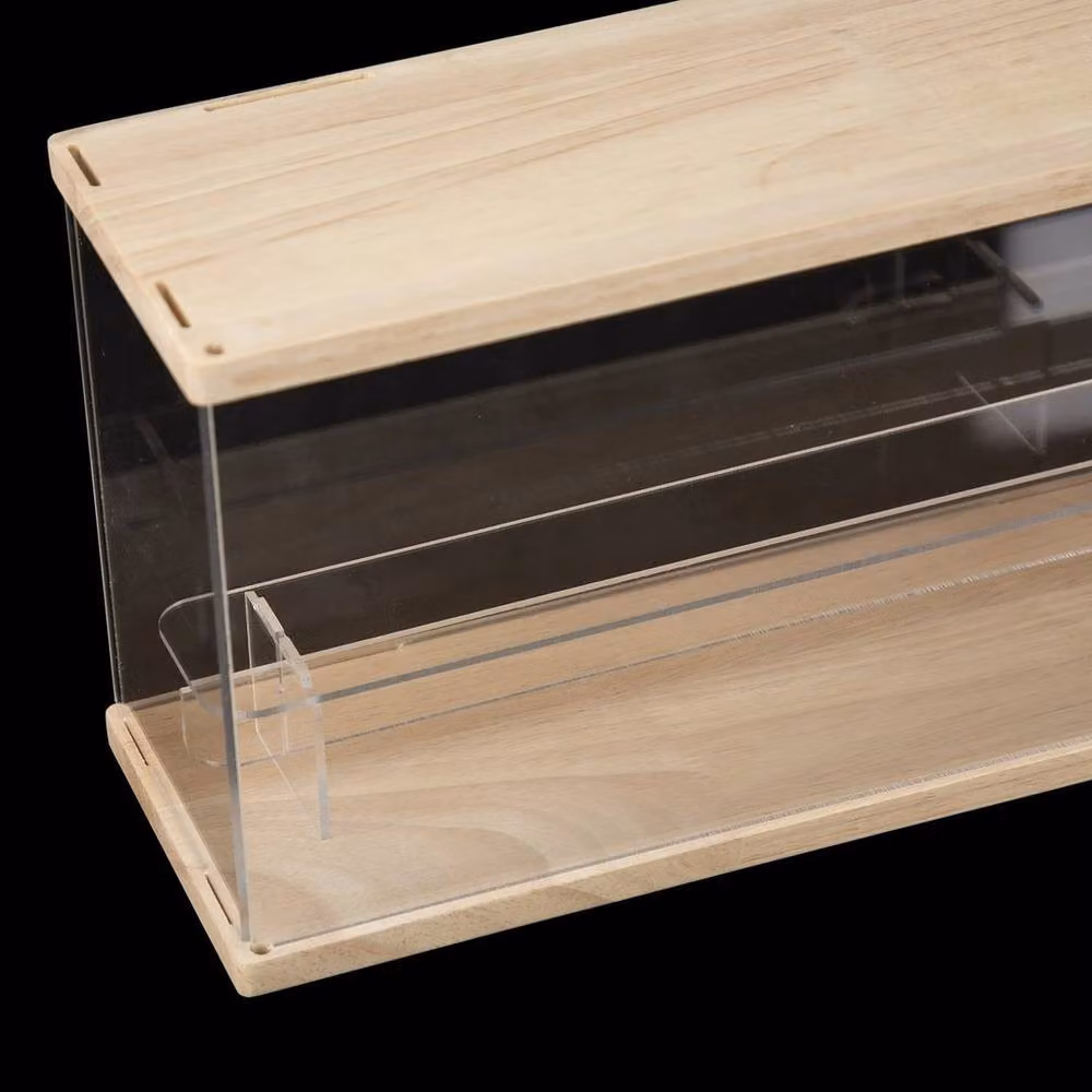 FORGEVIO Blind Box Display Organizer in Beige and Transparent, W/D/H: 18 x 60 x 21.5 cm – 2
