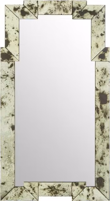 Fifty Five South Avento Oval Shelved Wall Mirror in Gold and Silver