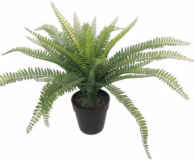 Botanica Green Artificial Fern Potted Plant