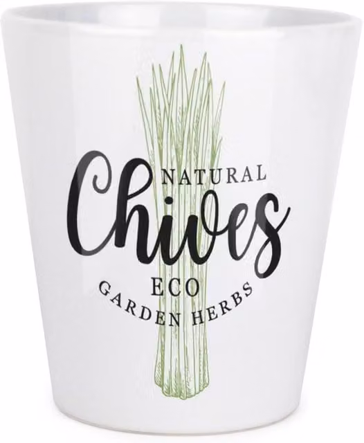 Purely Home Ceramic Plant Pot in Green, Black or White