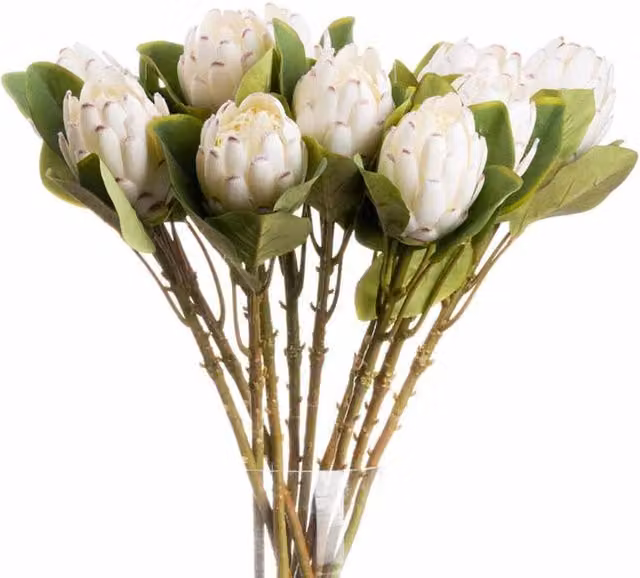 Lemon Pavilion Furniture and Decor White Closed Protea Artificial Flower Single Stem, W8 x D12 x H67 cm