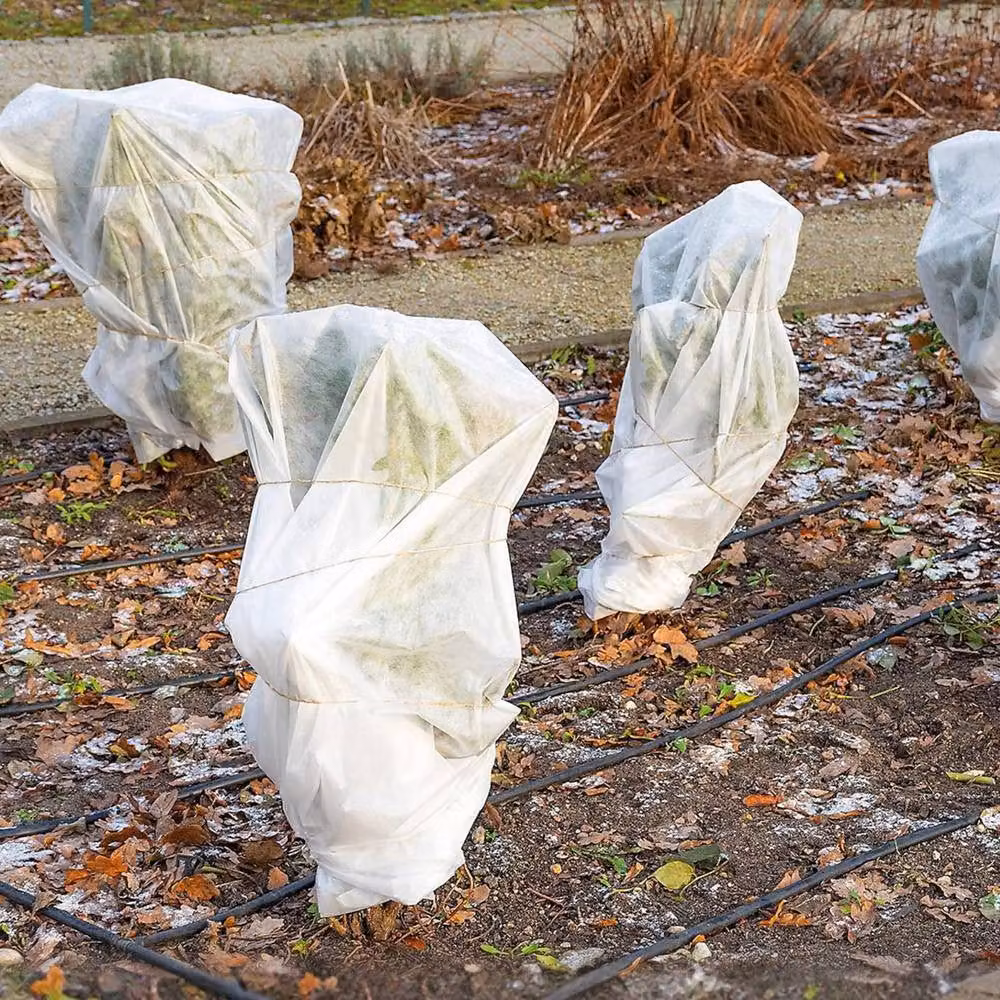 Green Thumbz White Garden Fleece for Winter Protection and Growing Aid – 5
