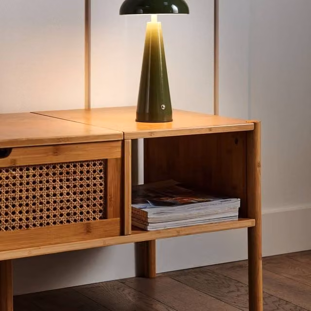 Wyld and Coco Wireless Metal Table Lamp in Black and Green with Touch Dimmer and 3 Colour LED Settings – 1