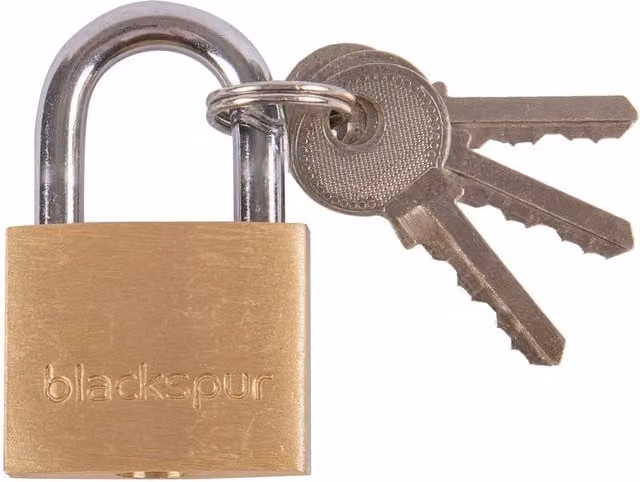 Blackspur Brass Heavy-Duty Padlock with Key in Gold