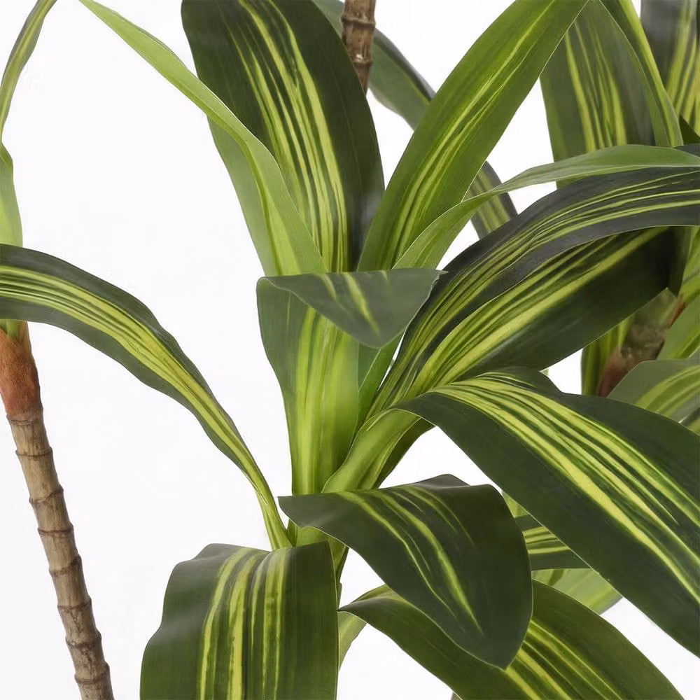 Levede Artificial Dracaena Tree in Green and White with White Pot, Height: 182 cm – 3