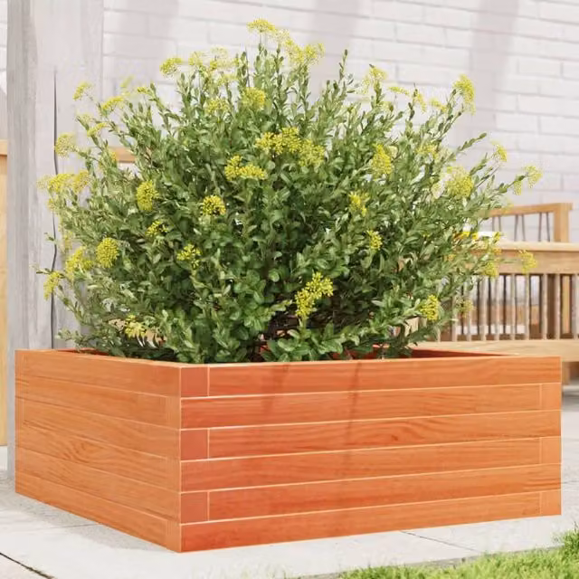 Berkfield Home Garden Planter Tub in Wax Brown Solid Wood Pine, W/D/H: 60 x 60 x 23 cm