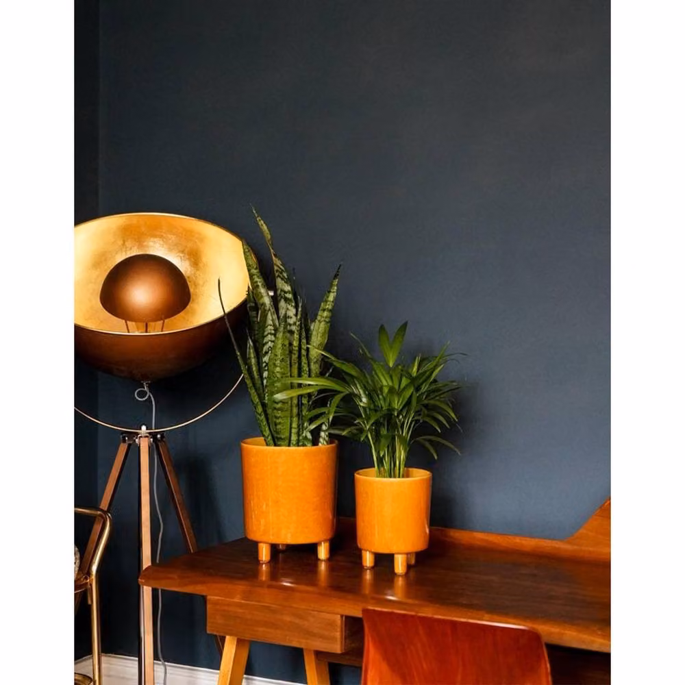 Lemon Pavilion Furniture and Decor Pisa Ceramic Tabletop Planter, Yellow, W: 20 cm, D: 20 cm, H: 24 cm – 2