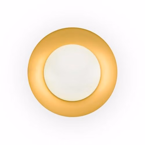 Netlighting Faro Barcelona Round LED Wall Light, Black and Gold/Brass, Diameter: 39 cm