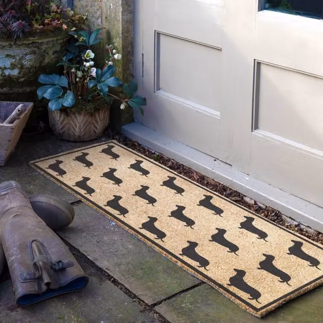 Artsy Mats Dachshund Pattern Coir Doormat in Brown, W/D: 120 x 40 cm