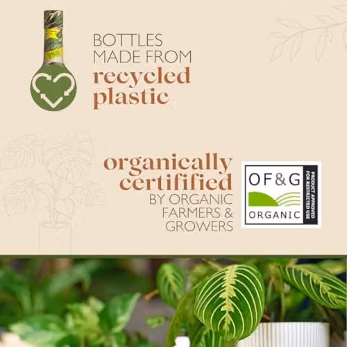 Baby Bio Organic Liquid Houseplant Food Concentrated Nitrogen Plant Tonic, 175ml – 6