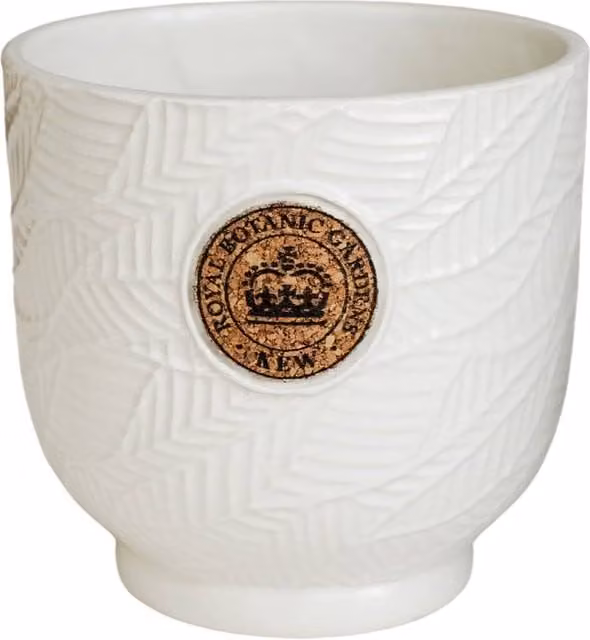Ivyline Kew Leaf Embossed Ceramic Plant Pot in White, H18 x D18 cm