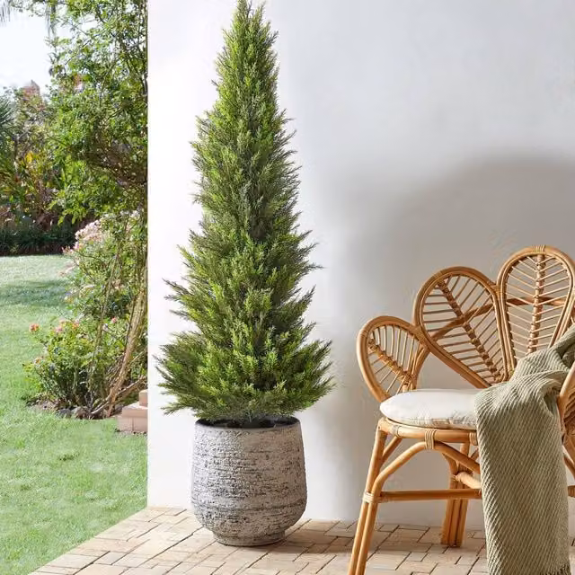 Wyld and Coco 153 cm Artificial Cedar Tree in Green