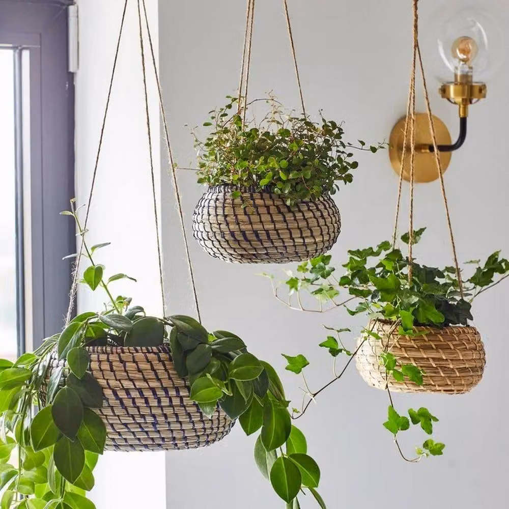 Ivyline Hanging Seagrass Planter Set of 2 in Brown and Beige – 2