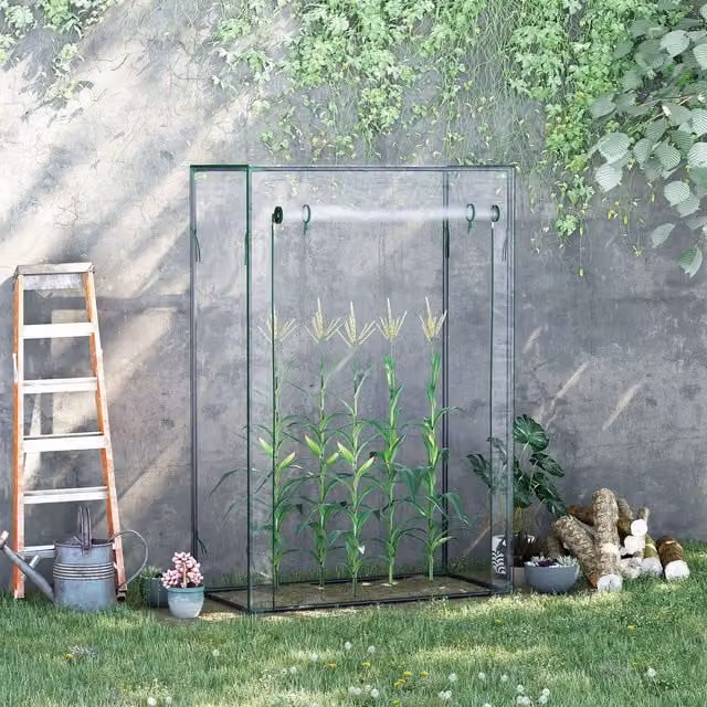 OUTSUNNY Transparent Outdoor Greenhouse with Zipper Roll-up Door, W/D/H: 100 x 50 x 150 cm