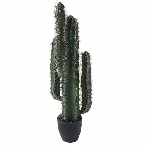 LeafUK Leaf Deluxe Artificial Potted Cactus Succulent, Green, H: 20 cm, W: 20 cm, D: 20 cm – 1