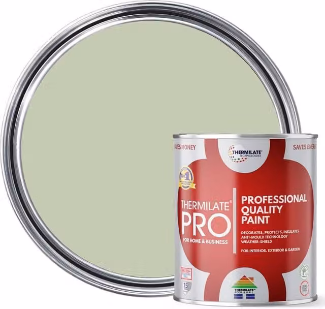 Thermilate Technologies Pro Flex Multi Surface All-in-One Matt Paint in Sage Green, 5 l