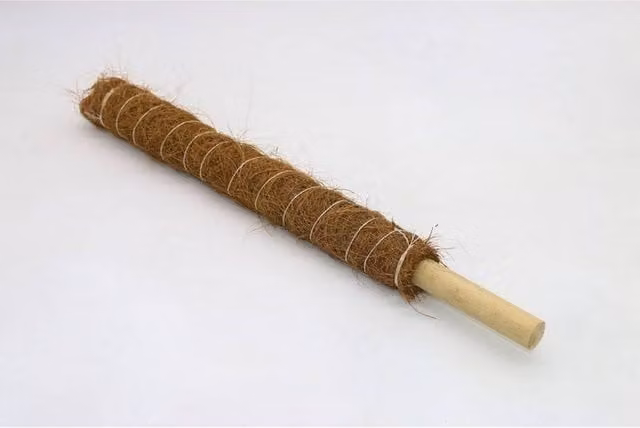 Coir Products Brown Wood Plant Stake Support for Climbers and Indoor Plants, L140 x W5 x H5 cm