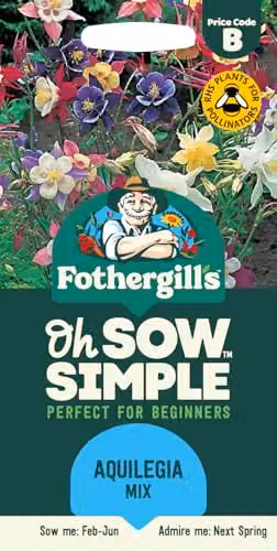 Mr Fothergill's Oh Sow Simple Aquilegia Mix Multicolour Flower Seeds – 1