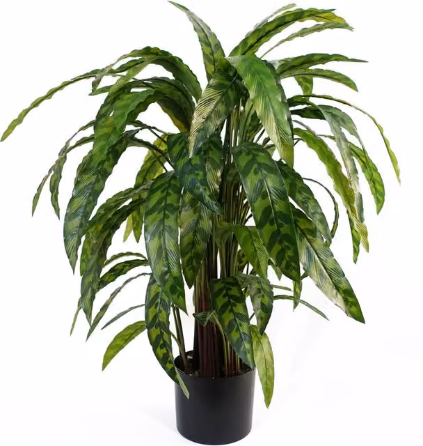 Variegated Artificial Calathea Potted Plant in Green, Height: 70 cm