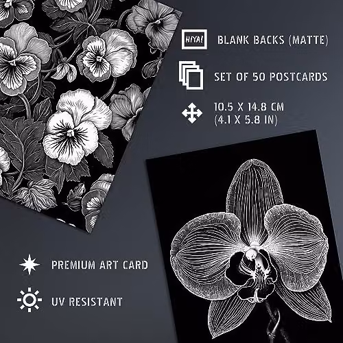 Artery8 50 Piece Black and White Floral Aesthetic Collage Kit Wall Art Prints, W: 15 cm, H: 10 cm – 4