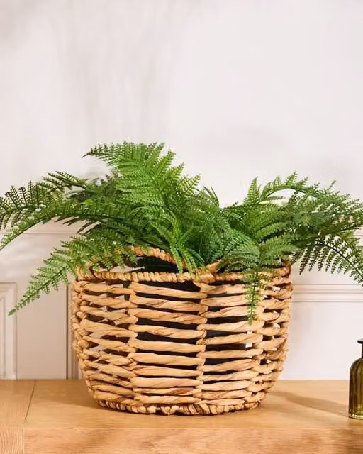 Dibor Vintage Style Large Open Weave Rattan Scalloped Planter Basket in Beige, Dia: 30 cm, H: 22 cm