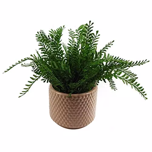 Leaf Design UK Geometric Ceramic Tabletop Plant Pot in Pink and Orange, W/D/H: 15 x 15 x 12.5 cm – 4