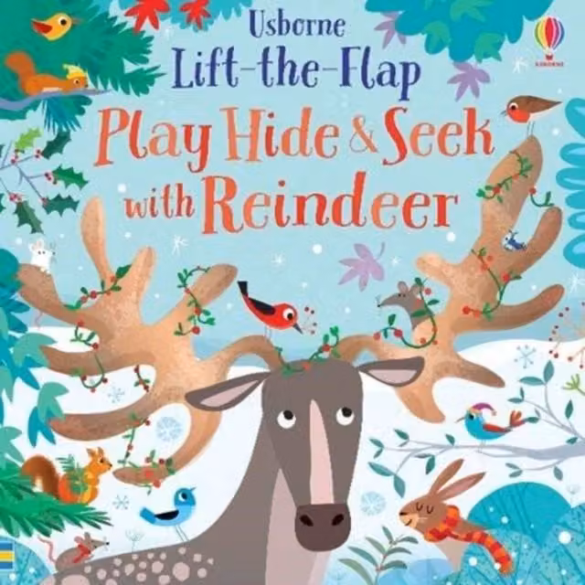 Sam Taplin Play Hide & Seek With Reindeer Multicolour Board Book