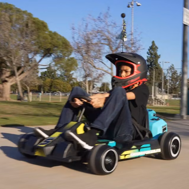 Razor Ground Force Elite Electric Go Kart for Kids 13 Plus, Black and Multicolour