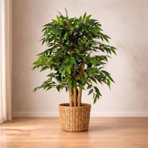 Leaf Design UK Realistic Artificial Ficus Tree, Green, Height: 90 cm – 2